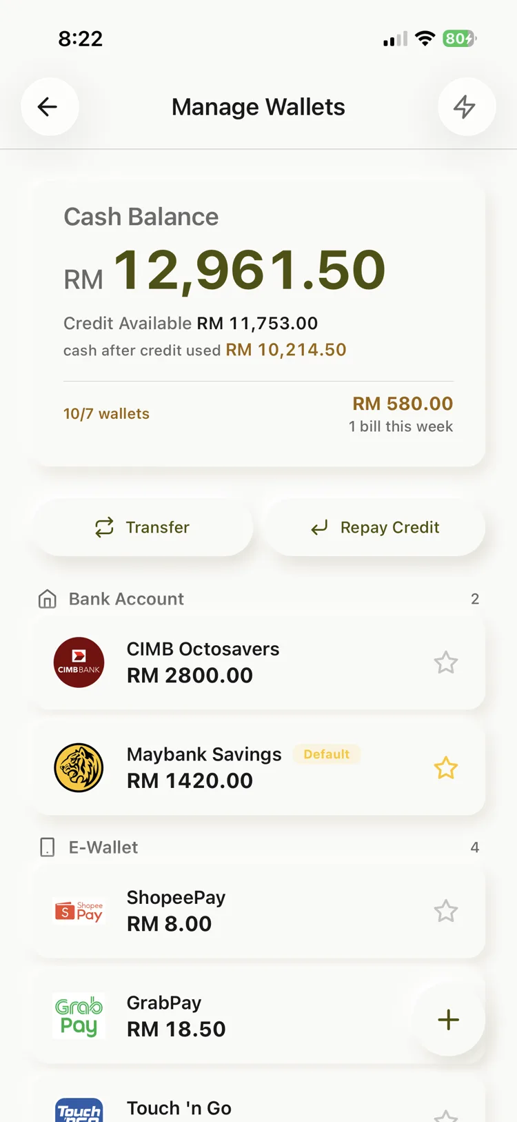 Every wallet — cash, bank and e-wallet apps in one place
